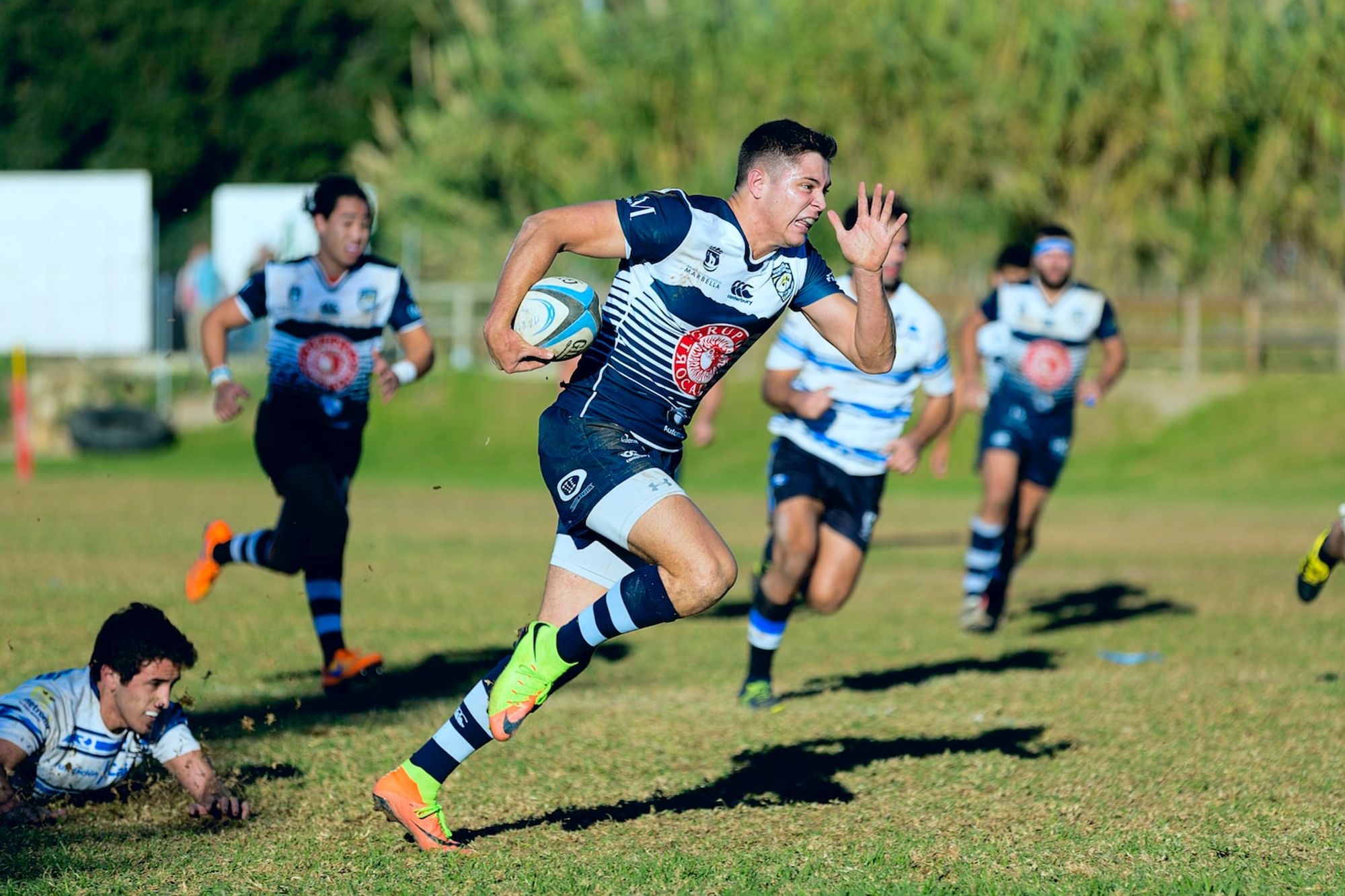 SV Gifhorn Titelphoto 2